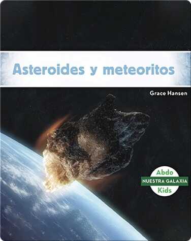 Asteroides y meteoritos book