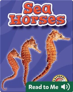 Sea Horses: Oceans Alive