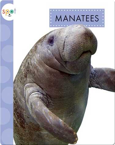 Ocean Animals: Manatees book