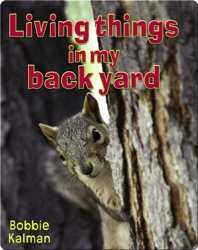 Living Things in my Backyard book