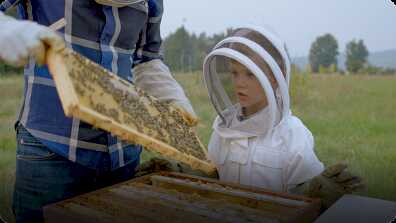 I Love: Beekeeping book