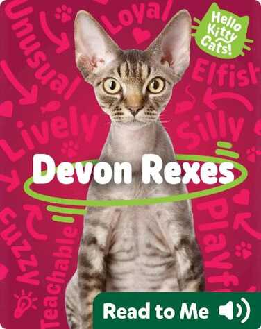 Hello Kitty Cats! Devon Rexes book