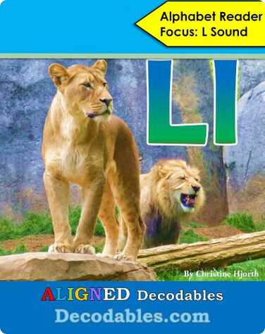 Ll Book book
