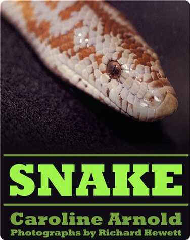 Snake book