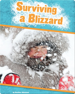 Surviving a Blizzard