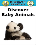 Discover Baby Animals