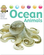 Ocean Animals