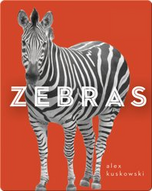 Zoo Animals: Zebras