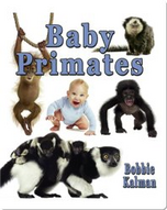 Baby Primates