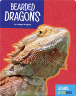 Lizards In The Wild: Bearded Dragons