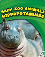 Baby Zoo Animals: Hippopotamuses
