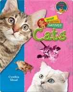 Cats: What Are They Saying?
