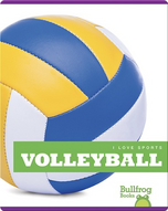 I Love Sports: Volleyball