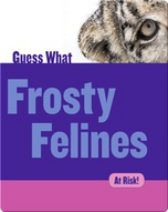 Frosty Felines