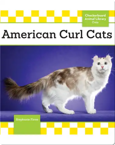 American Curl Cats book