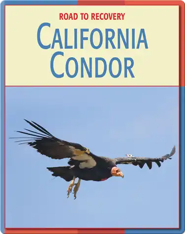 Road To Recovery: California Condor book