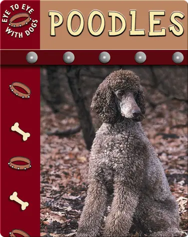 Eye To Eye With Dogs: Poodles book