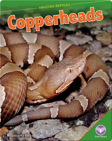 Amazing Reptiles: Copperheads book