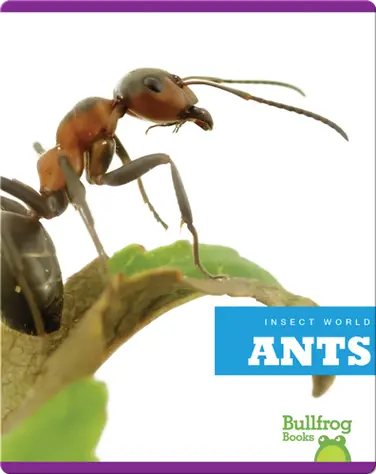 Insect World: Ants book