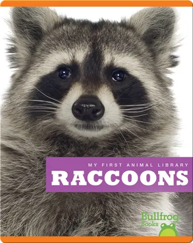 My First Animal Library: Raccoons book