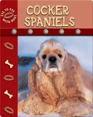 Eye To Eye With Dogs: Cocker Spaniels