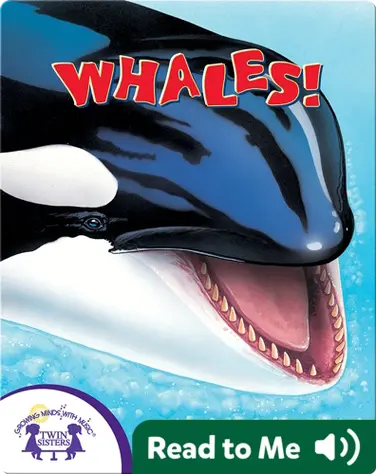 Whales! book