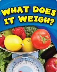 What Does It Weigh?