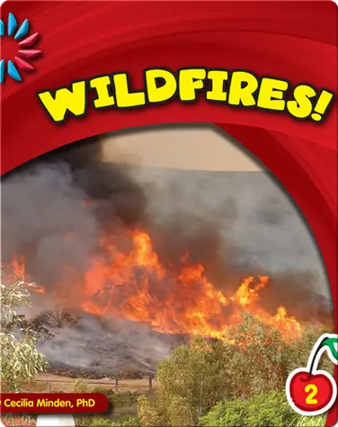 Wildfires! book