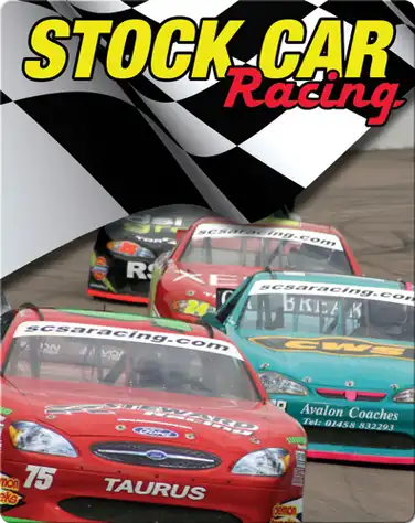 Stock Car Racing book