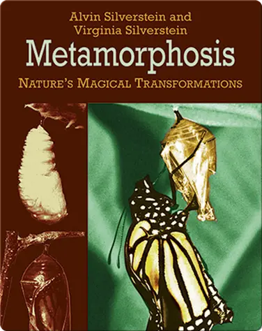 Metamorphosis: Nature's Magical Transformations book