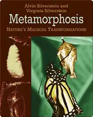 Metamorphosis: Nature's Magical Transformations