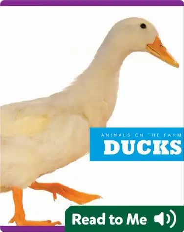 Ducks book