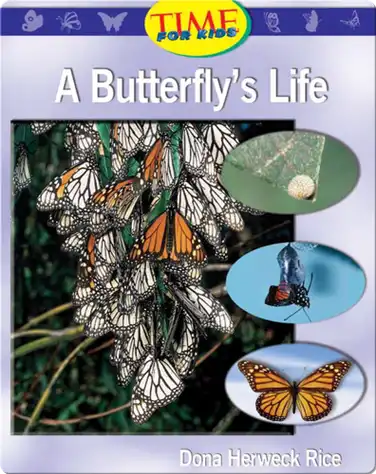 A Butterfly's Life book