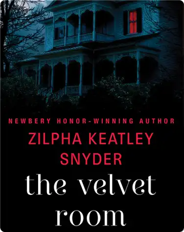 The Velvet Room book