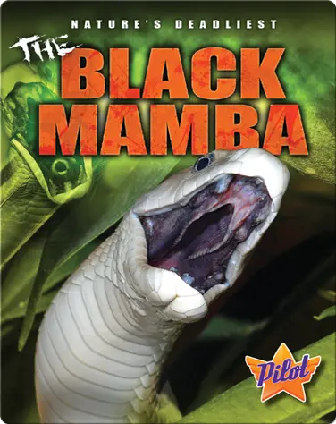 The Black Mamba book