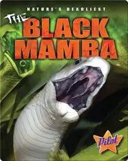 The Black Mamba