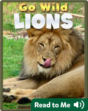 Go Wild Lions book