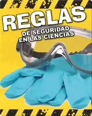 Reglas De Seguridad En Las Ciencias (Science Safety Rules)