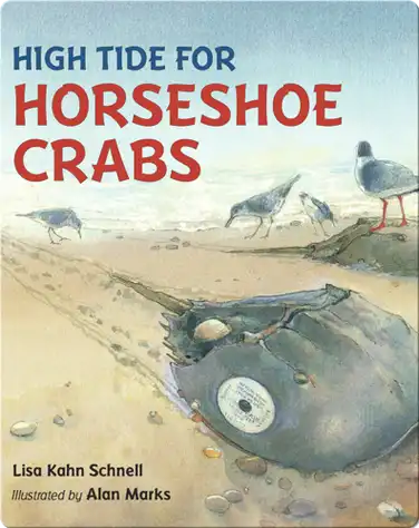 High Tide for Horseshoe Crabs book