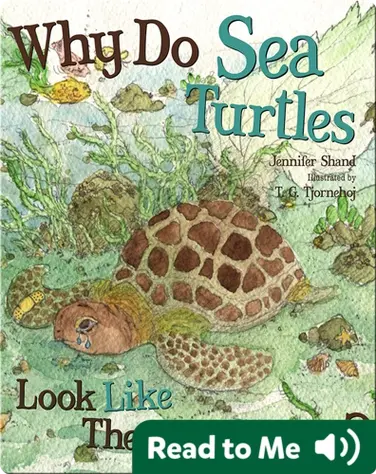 Why Do Sea Turtles Look Like They Are Crying? book