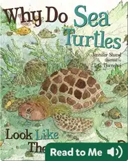 Why Do Sea Turtles Look Like They Are Crying?