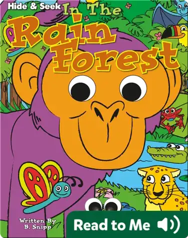 Rain Forest book