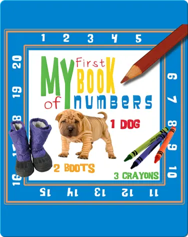 My First Book of Numbers book
