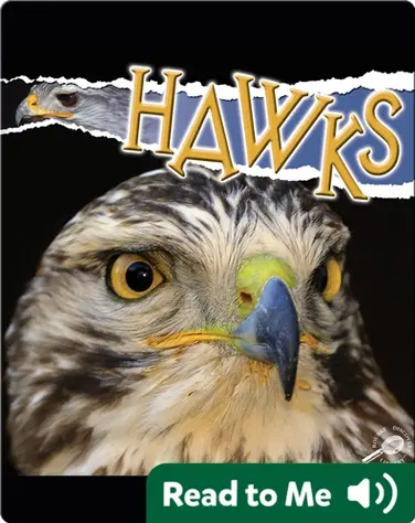 Raptors: Hawks book