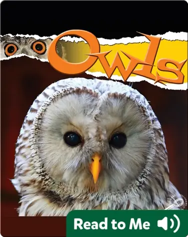 Raptors: Owls book