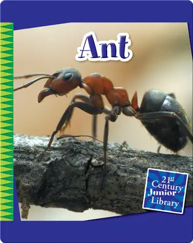 Ant book