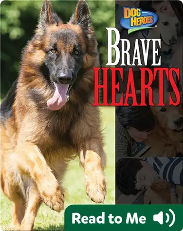 Brave Hearts book