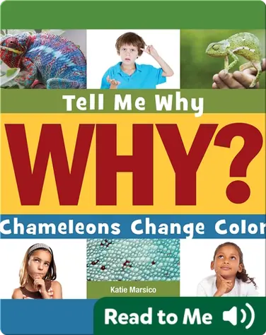 Chameleons Change Color book