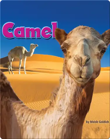 Camel book