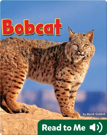 Bobcat book